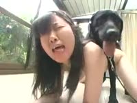 Asian acquires it from the dog